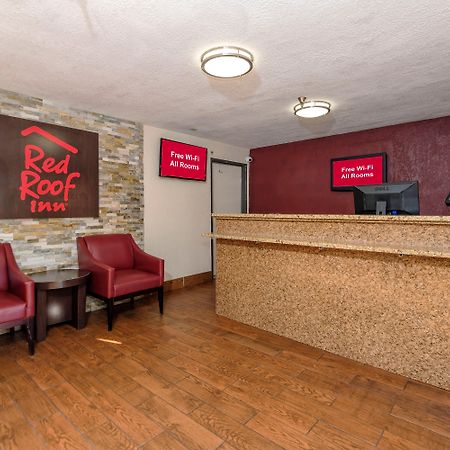 Red Roof Inn Jacksonville - Cruise Port Exterior foto
